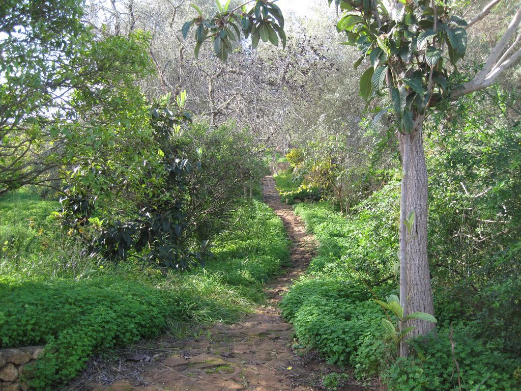 Quinta Das Seis Marias Villa Lagos Eksteriør bilde